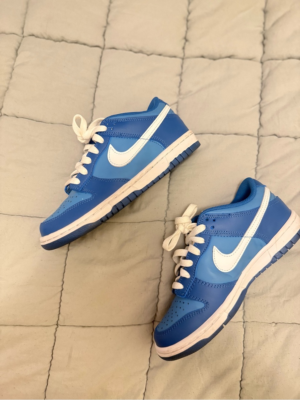 Nike Blue and White dunks low Sneakers — Classic Swoosh Design